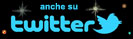 seguici su twitter
